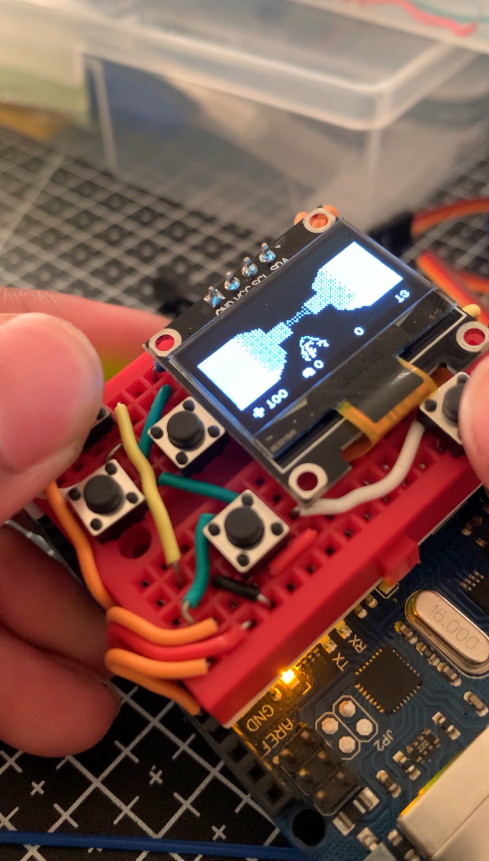 Dino Tamagotchi